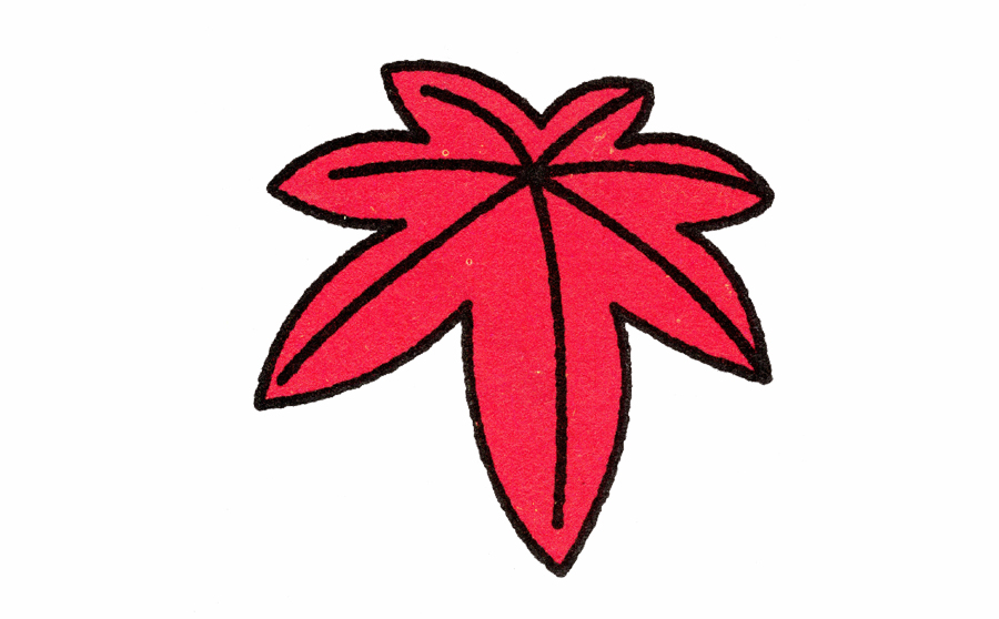 枫叶简笔画画法步骤