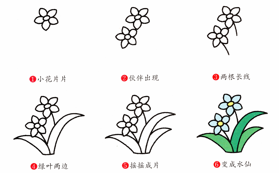 水仙花的简笔画画法步骤