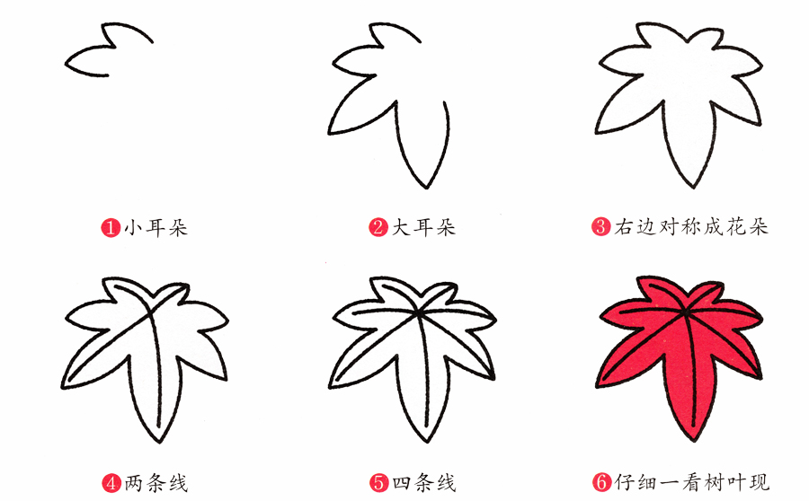 枫叶简笔画画法步骤