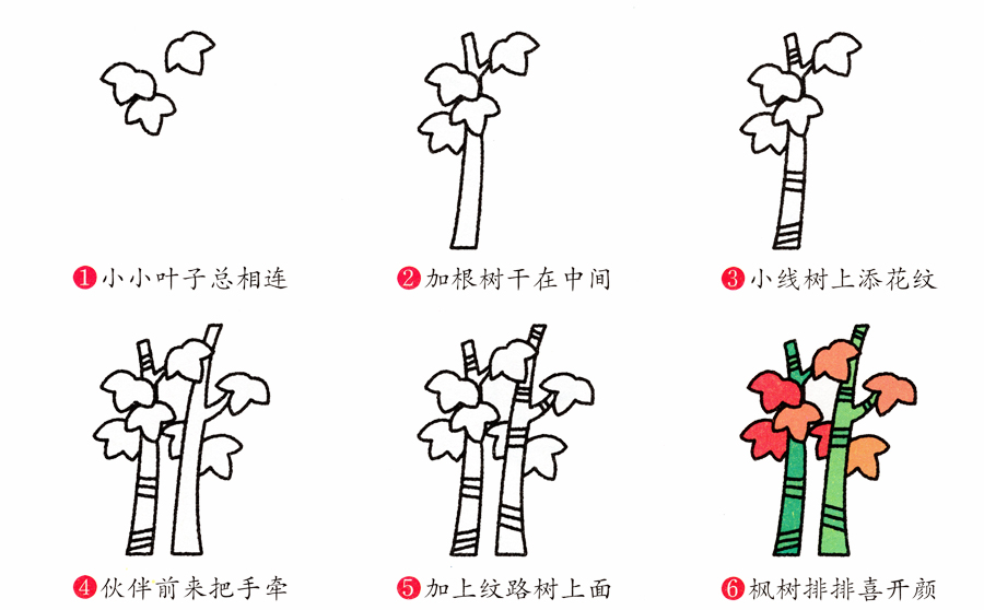 枫树的画法-枫树简笔画，枫树的画法教程