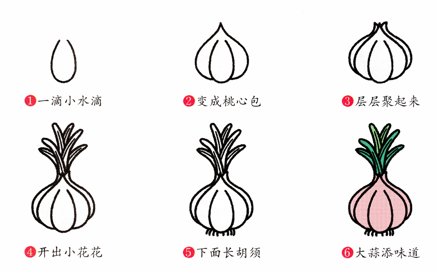 大蒜的儿童简笔画画法步骤