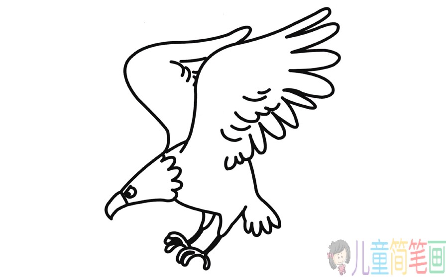老鹰的画法