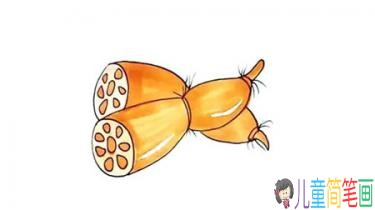 彩色莲藕的简笔画画法步骤