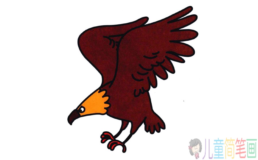 老鹰的画法
