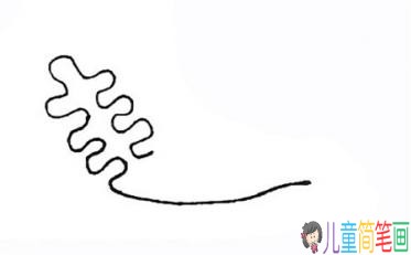 彩色珊瑚简笔画的画法
