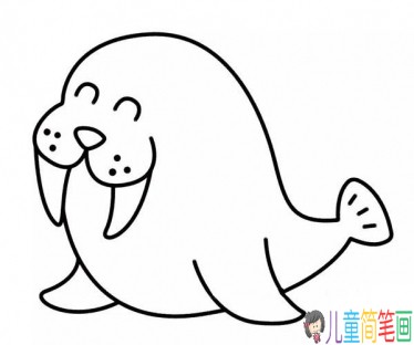 海豹简笔画画法步骤