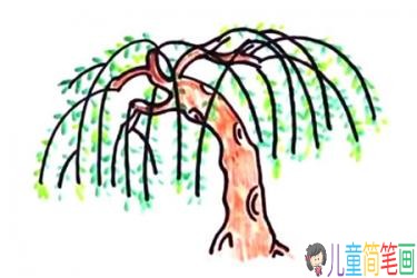 春天绿色枝芽柳树的简笔画绘画教程