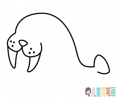 海豹简笔画画法步骤