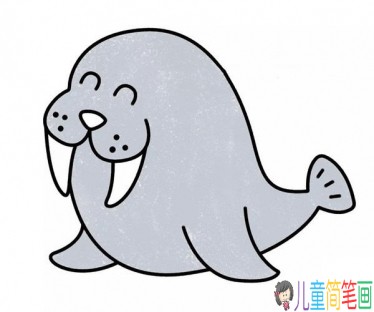 海豹简笔画画法步骤