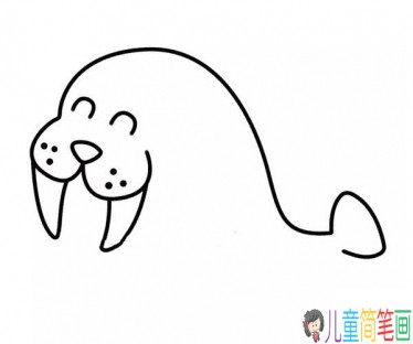 海豹简笔画画法步骤