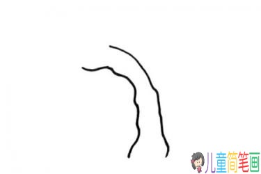 春天绿色枝芽柳树的简笔画绘画教程