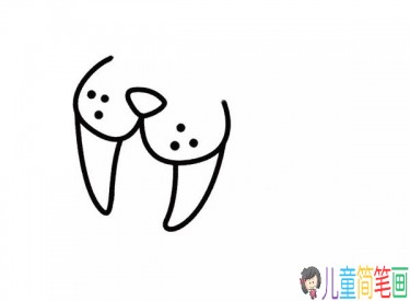 海豹简笔画画法步骤