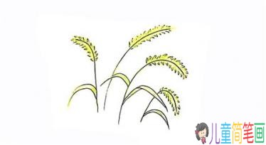 简笔画狗尾巴草的画法步骤