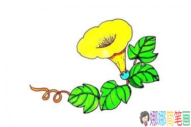 彩色喇叭花的简笔画画法