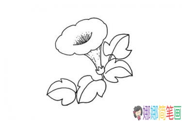 彩色喇叭花的简笔画画法