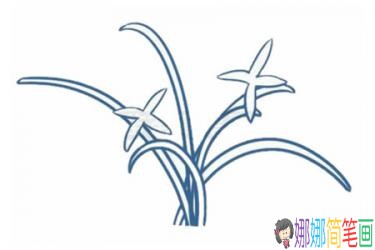 彩色兰花简笔画的画法步骤