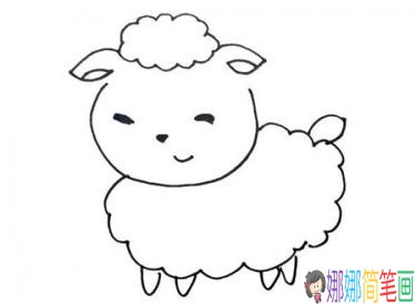 学画白色小羊的简笔画教程