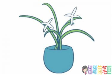 彩色兰花简笔画的画法步骤