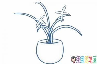 彩色兰花简笔画的画法步骤