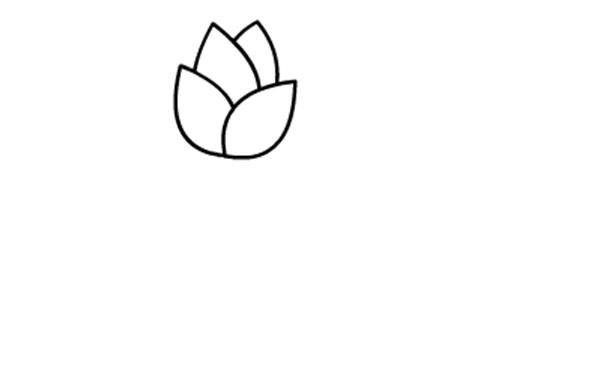儿童简笔画小红花的画法图解教程