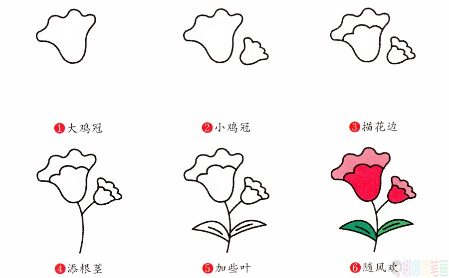 幼儿画简笔画鸡冠花画法图片 教程