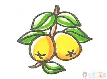 如何画水果枇杷的简笔画画法步骤