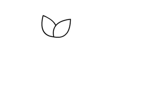 儿童简笔画小红花的画法图解教程