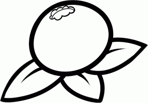 水果蓝莓的画法图解，儿童画彩色简笔画画法及上色效果