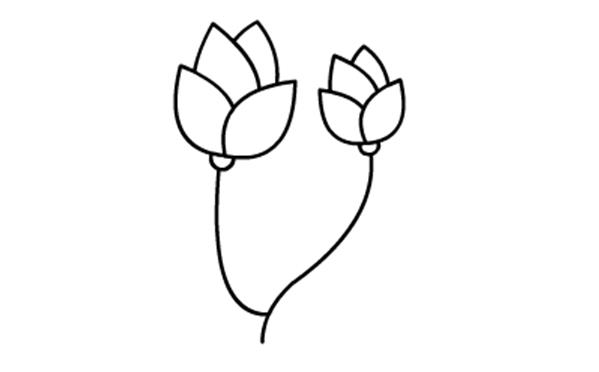 儿童简笔画小红花的画法图解教程