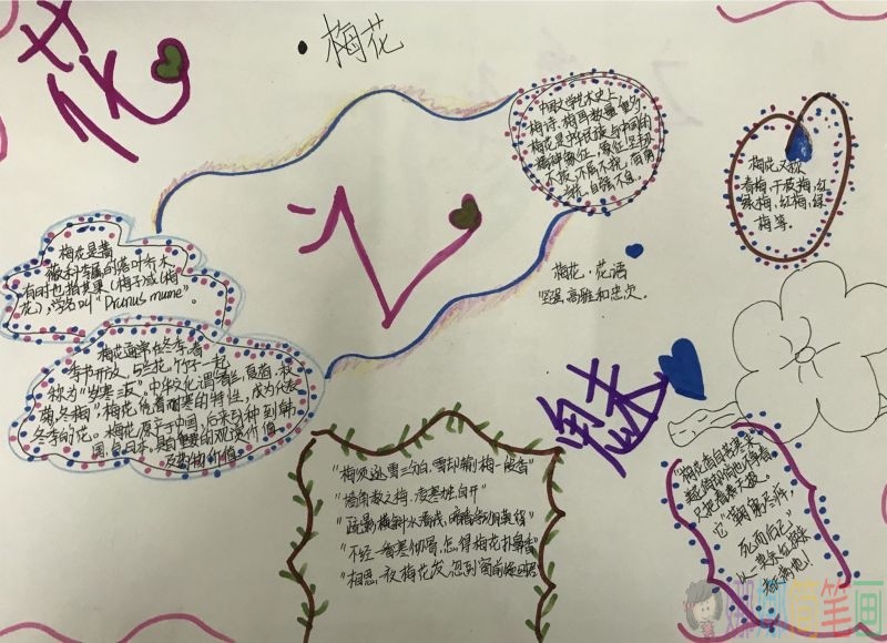 咏花手抄报，花之魅力