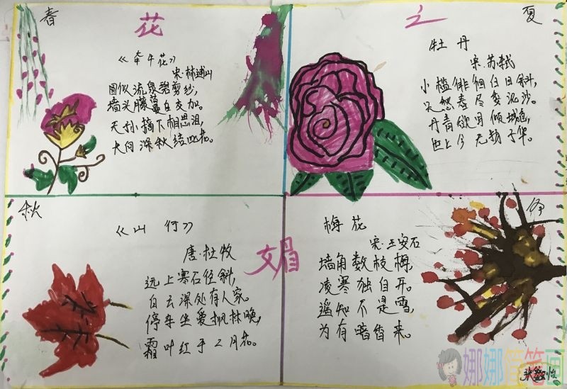 咏花手抄报，花之魅力