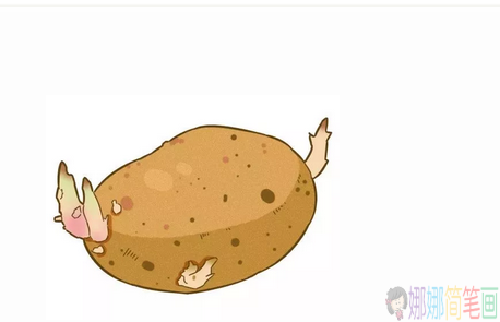 这些食物容易导致流产 孕妇禁吃