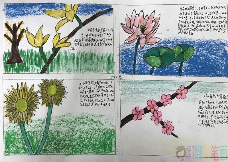 咏花手抄报，花之魅力