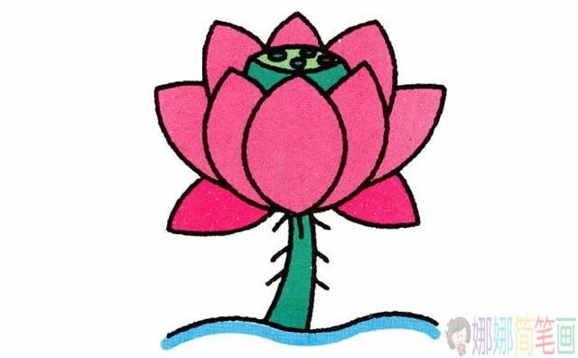 简笔画彩色荷花的画法步骤