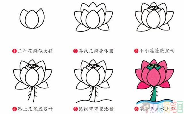 简笔画彩色荷花的画法步骤