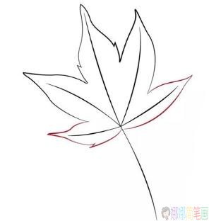 枫叶简笔画步骤,枫叶儿童简笔画