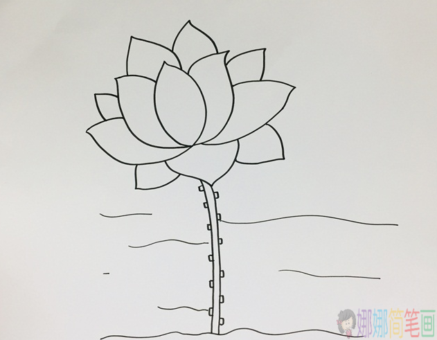 好看的荷花简笔画步骤,简笔画图片