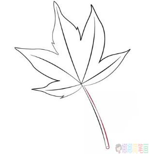 枫叶简笔画步骤,枫叶儿童简笔画