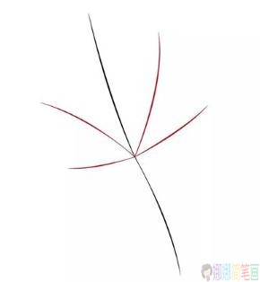 枫叶简笔画步骤,枫叶儿童简笔画