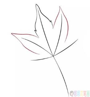 枫叶简笔画步骤,枫叶儿童简笔画