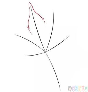 枫叶简笔画步骤,枫叶儿童简笔画