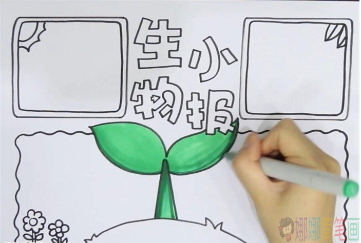 生物手抄报模板