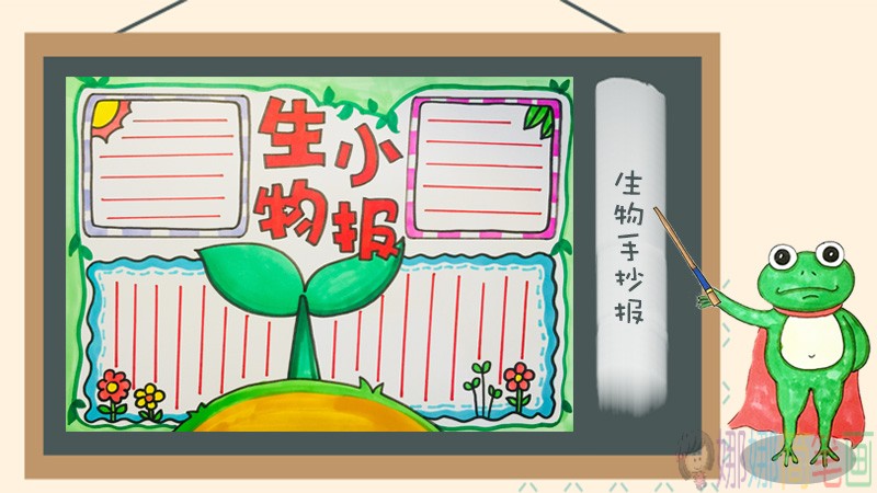 生物手抄报模板