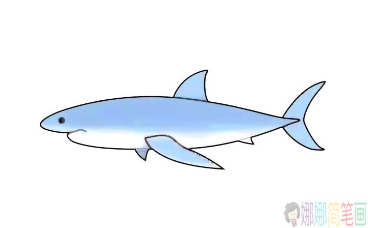 大白鲨简笔画怎么画