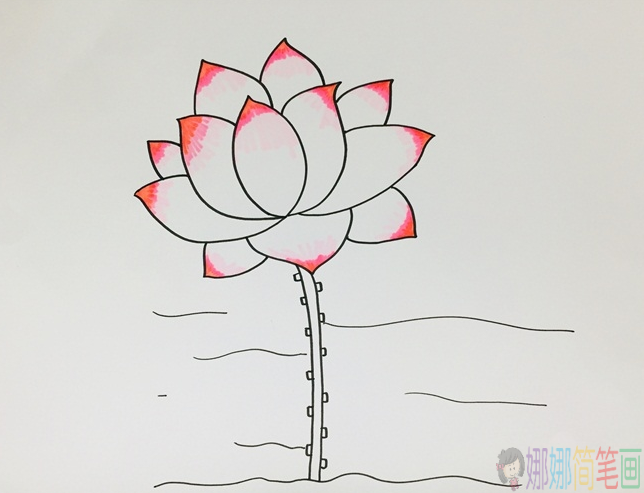 好看的荷花简笔画步骤,简笔画图片