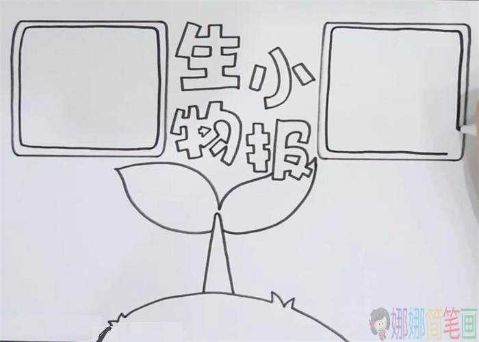 生物手抄报模板