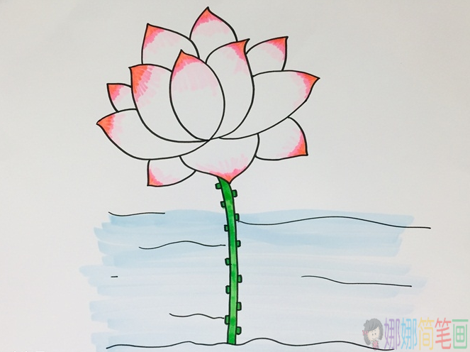 好看的荷花简笔画步骤,简笔画图片