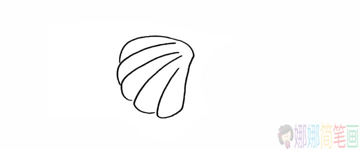 贝壳简笔画,贝壳的画法