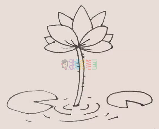荷花简笔画,荷花怎么画教程
