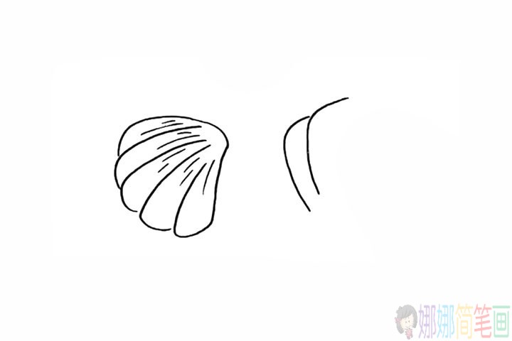 贝壳简笔画,贝壳的画法